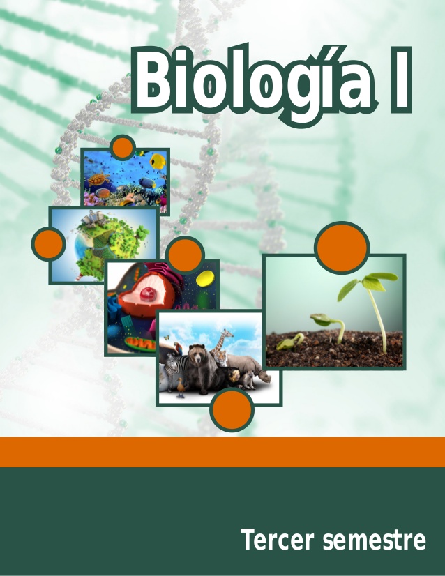 libro de biologia solomon pdf